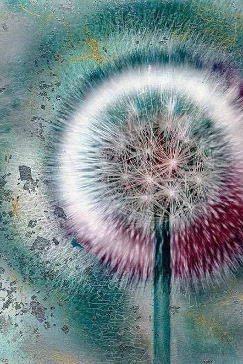 Alzheimerova demence, dobrá péče o klienty s demencí od teorie k praxi / P2